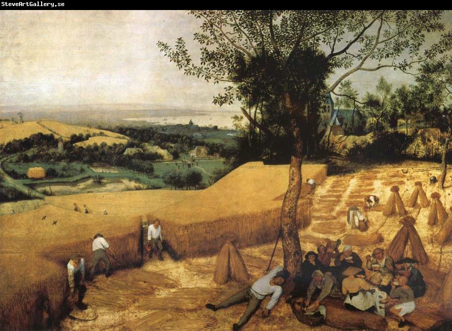 Pieter Bruegel The harvest